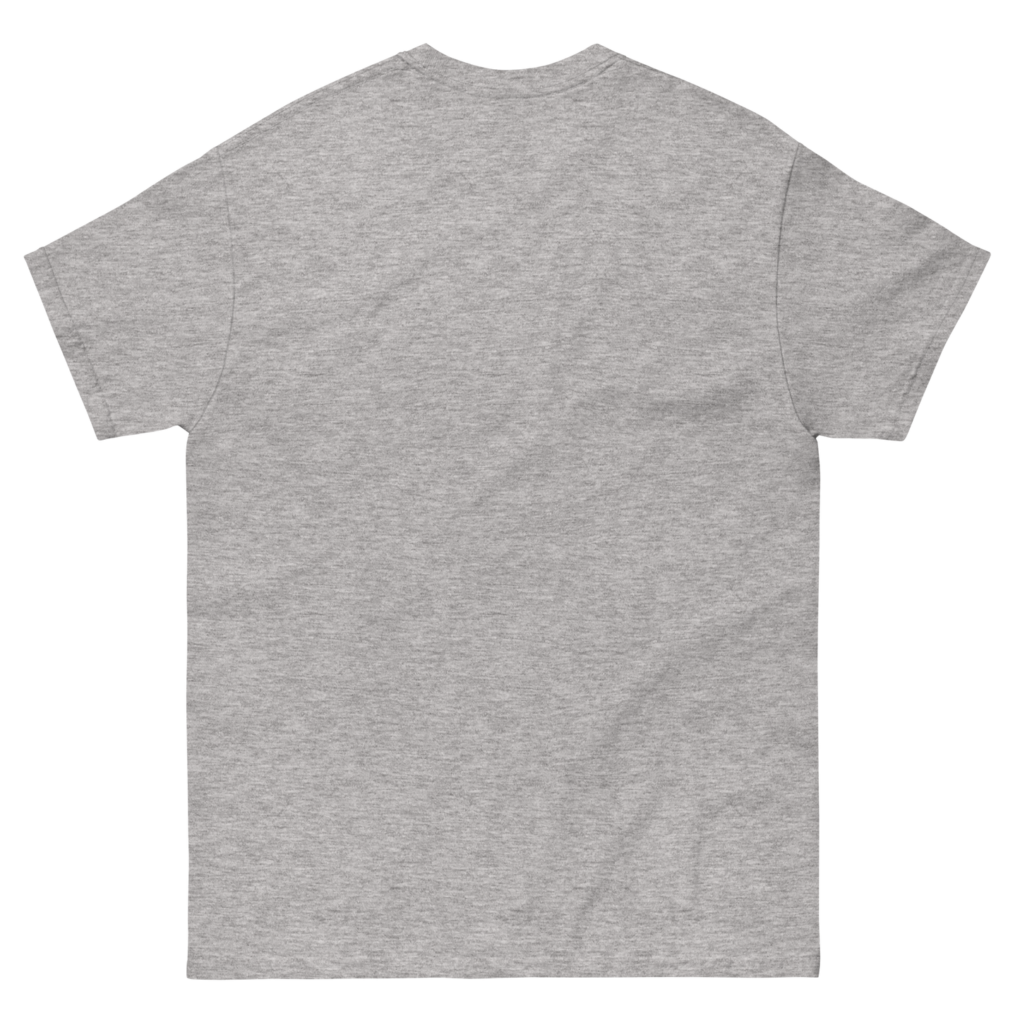 Los Angeles BJJ Camp T-Shirt - Sport Grey