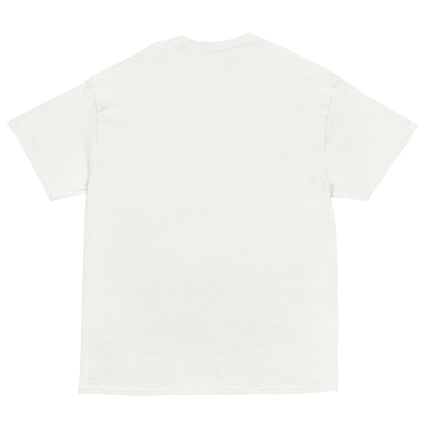 Paris Académie de Jiu Jitsu T-Shirt - White