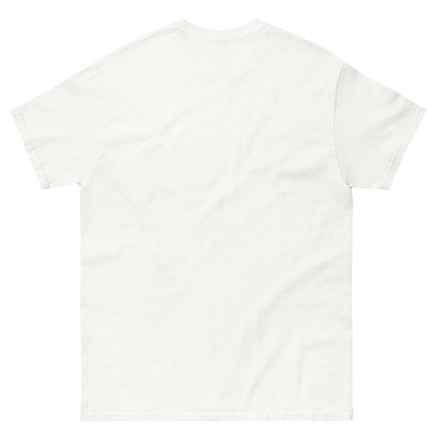 New York BJJ T-Shirt - White