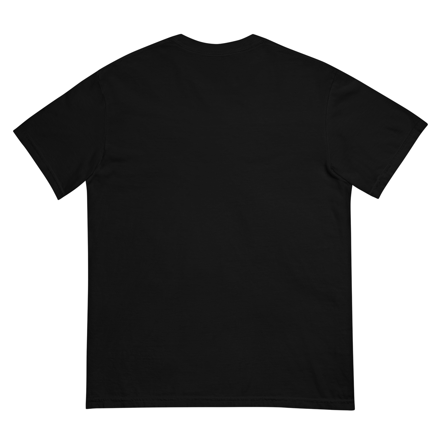 New York City Jiu-Jitsu T-Shirt - Black